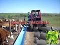 HENOS Y SILOS WASAP 3137309087