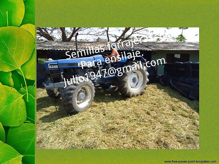 venta de silo y henos 3137309087