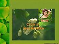 CLON 51 Y CUBA 22. FORRAJERAS