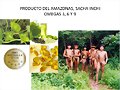 Plukenetia Huayllabambana, VENTAS 3137309087 COLOM