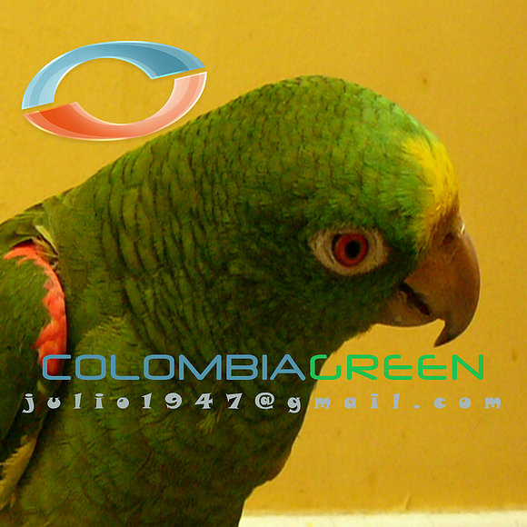 colombia verde