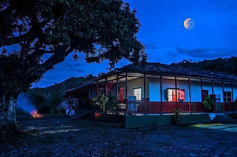 FINCAS CAFETERAS COLOMBIA