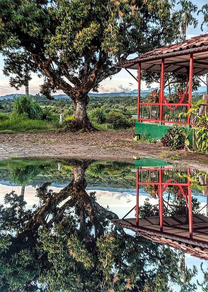 PAISAJE CAFETERO 1