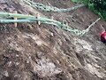 VETIVER