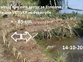 VETIVER EROSION