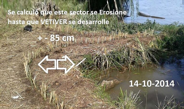 VETIVER EROSION