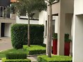 VETIVER JARDINES