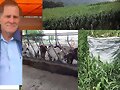 CONFINADOS CON TIFTON Y RODAS