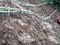 TALUDES CONTROLADOS CON GUADUA