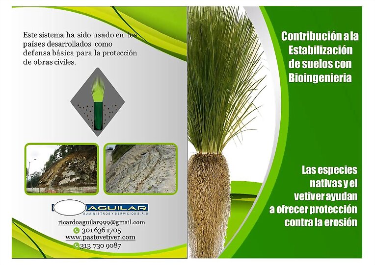 PAGINA DE SERVICIOS