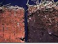 PERTIL TERRENO PARA VETIVER