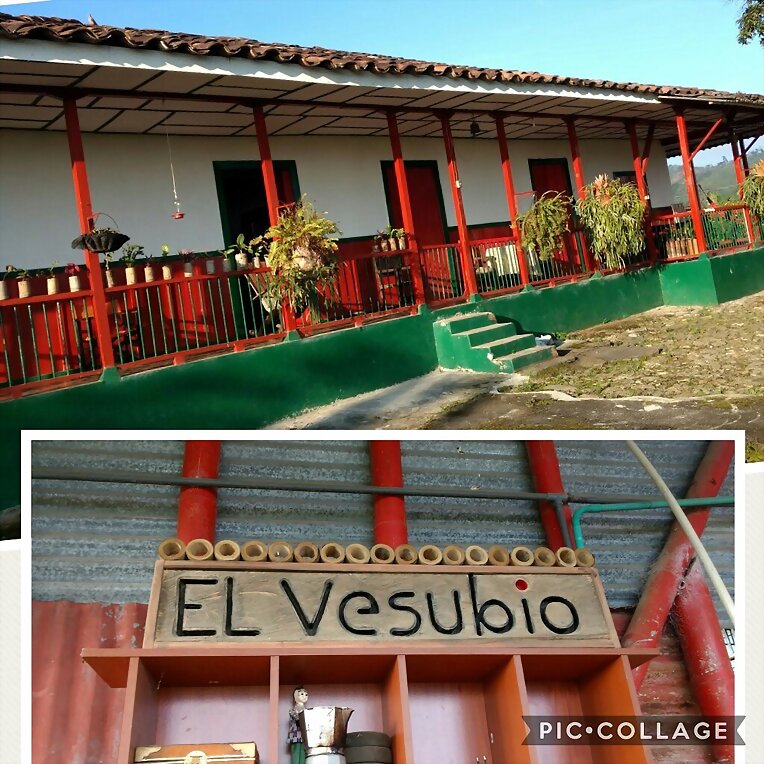 FINCAS CAFETERAS COLOMBIA,