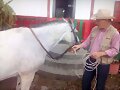 VENTA DE SEMILLAS FORRAJERAS PARA GANADOS