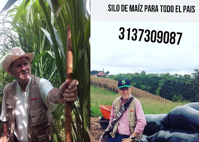 FORRAJERAS DE CORTE