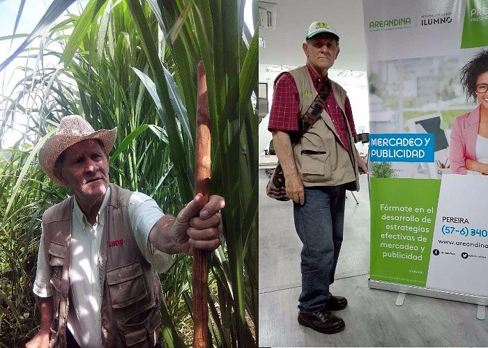PASTOS DE CORTE COLOMBIA