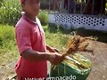 VETIVER EMPACADO