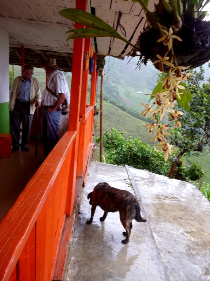 PAISAJE CULTURAL CAFETERO