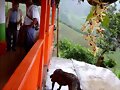 CULTURAL CAFETERO, CASAS CAMPESTRES PACORA