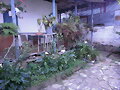 CASA DONDE SE CULTIVA CAFE EN COLOMBIA