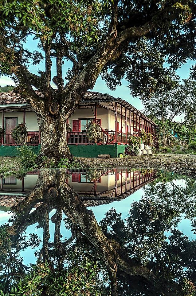 ARRIENDO FINCA EJECAFETERO. COLOMBIA 57-3137309087