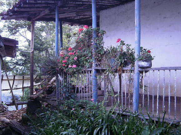CASA DONDE SE CULTIVA CAFE EN COLOMBIA