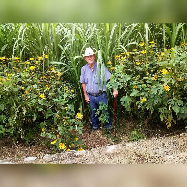 FINCA ZONA CAFETERA