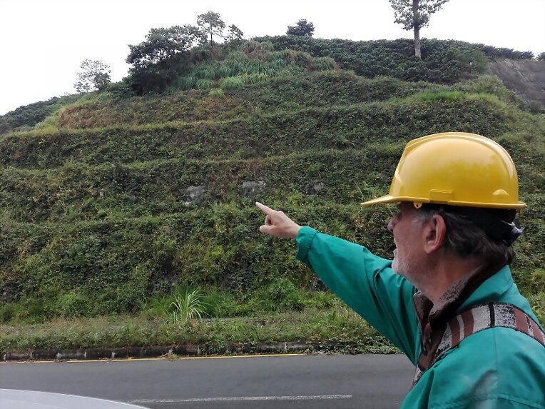 INGENIERIA CON VETIVER