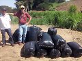SILO PASTO RODAS