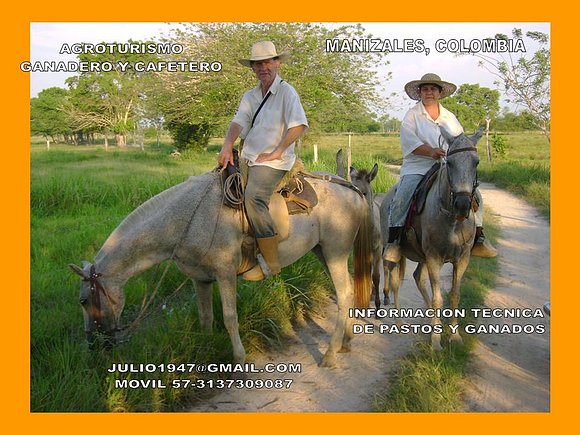 FINCA GANADERA