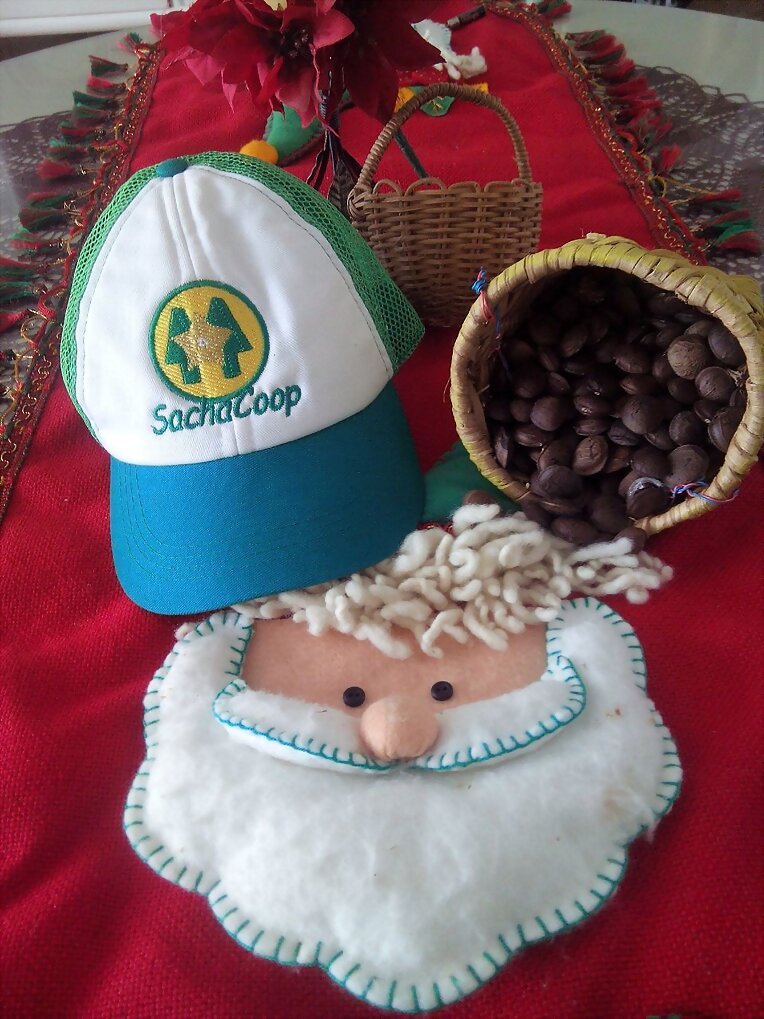SACHA INCHI