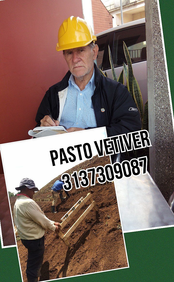 INGENIERIA PASTO VETIVER
