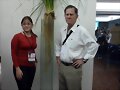 PASTO VETIVER CONGRESO INTERNACIONAL