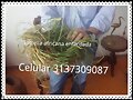 VETIVER CHARLA U. CATOLICA
