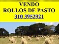 HENOS
