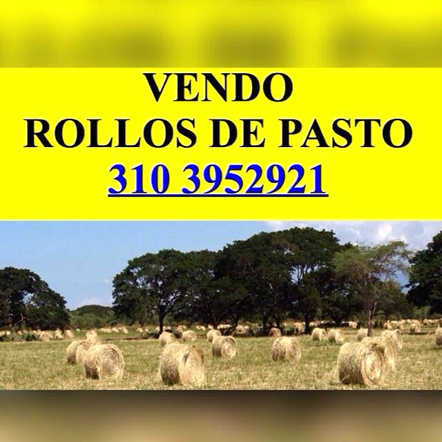 HENOS