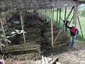 SEMILLA DE FORRAJERAS
