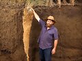 VETIVER GRASS