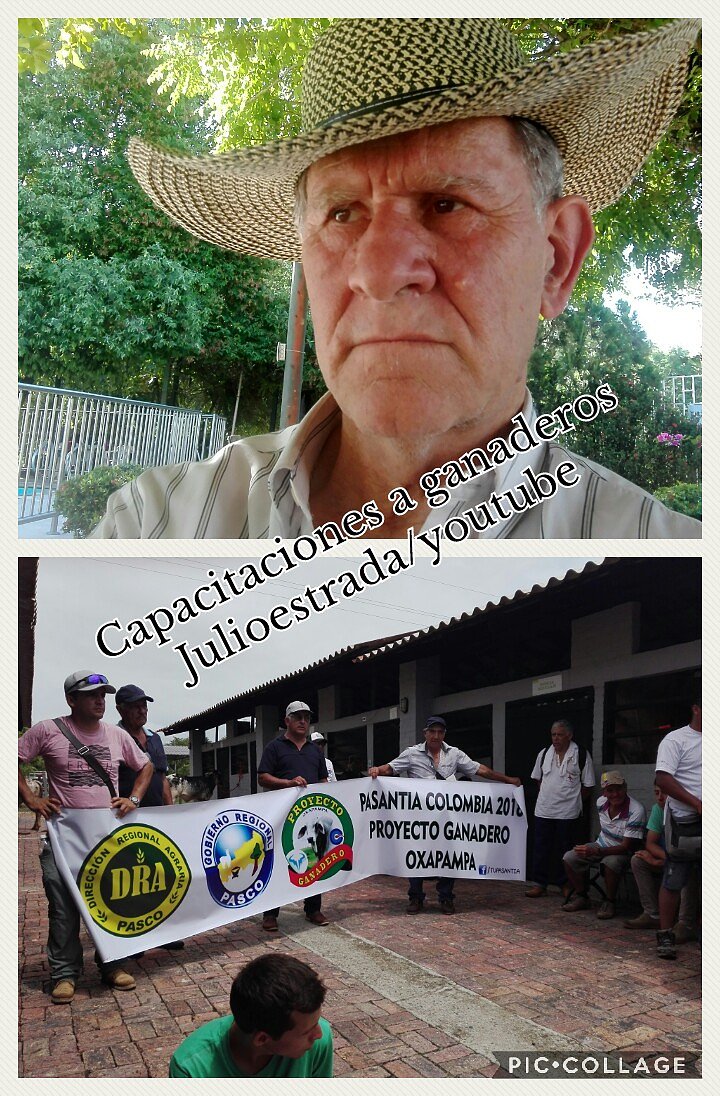 CAPACITACION GANADERA EN FORRAJES