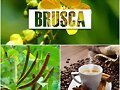 CAFE DE BRUSCA PARA PROSTATA
