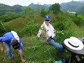 DIA DE CAMPO