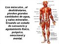 SAL Y CIRCULACION