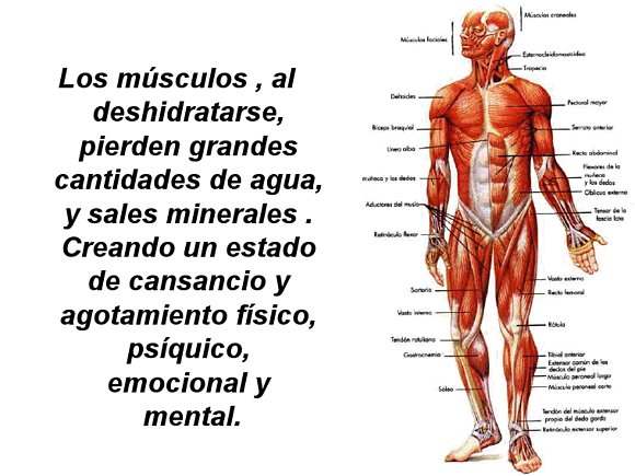 SAL Y CIRCULACION