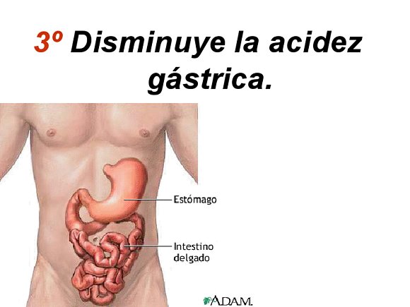 DIGESTION, SALUD