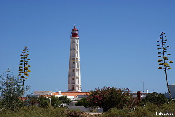 El Faro entre pitas