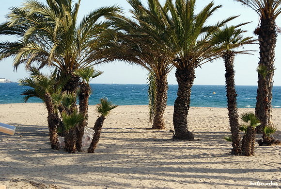 Grupo Palmeras (Rosses-Girona)