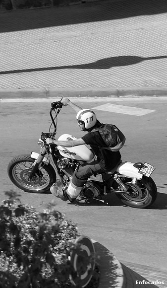 Cuelga Mono (Manillar)