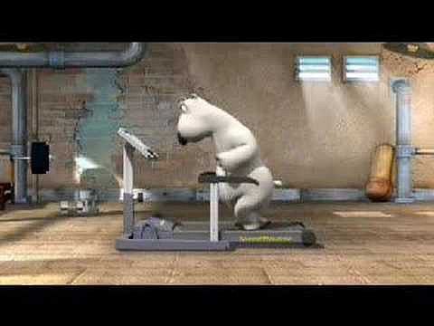 OSO POLAR..