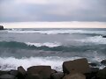 Olas