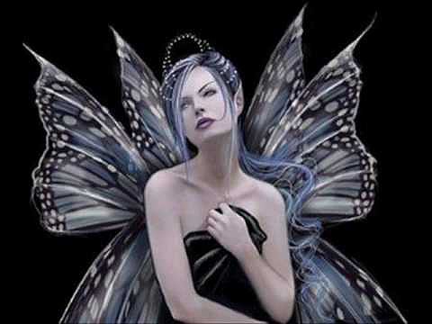 Mi Rosa Negra