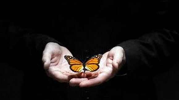 Mariposas
